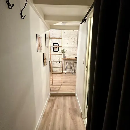 Le Cocon Toulousain En Hypercentre Apartment *