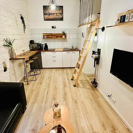 Apartment Le Cocon Toulousain En Hypercentre Toulouse