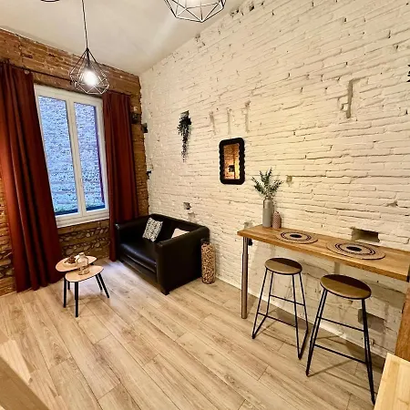 Le Cocon Toulousain En Hypercentre