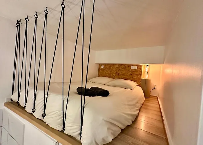 Le Cocon Toulousain En Hypercentre Tolosa