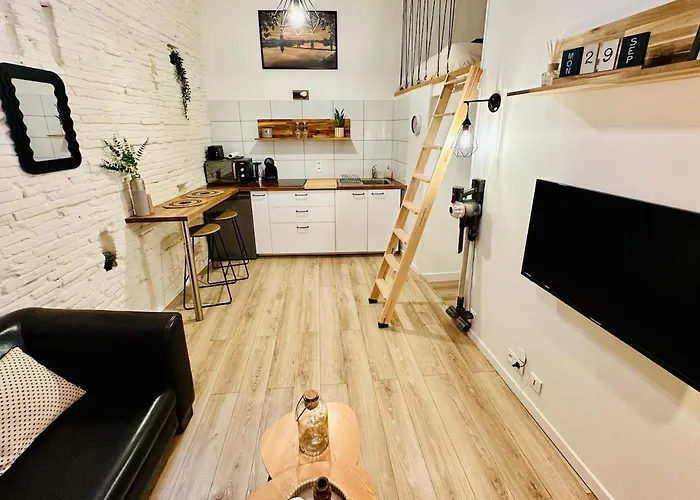 Apartment Le Cocon Toulousain En Hypercentre Toulouse