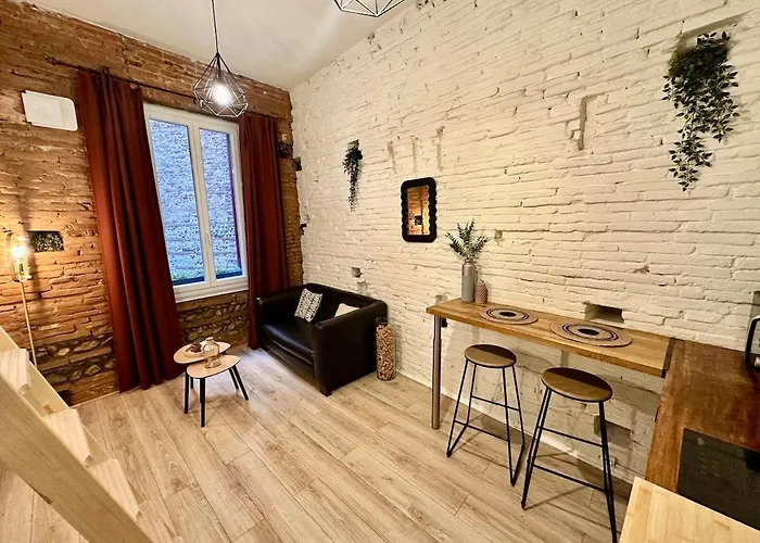 Le Cocon Toulousain En Hypercentre