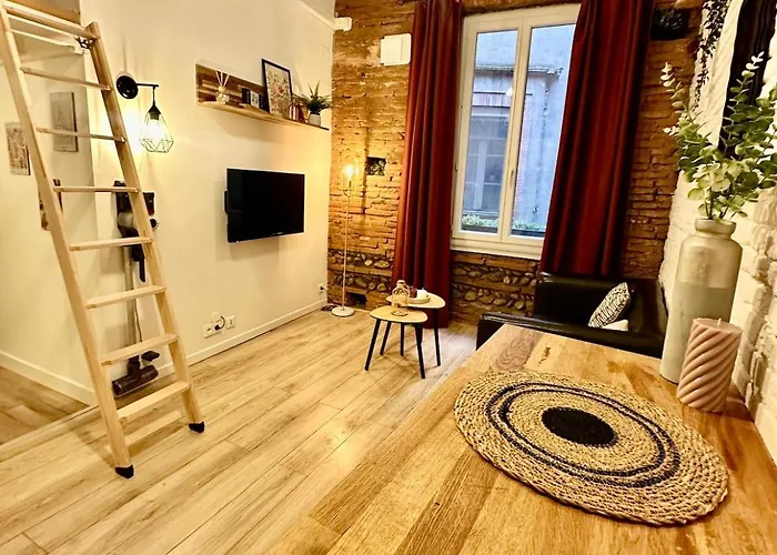 Le Cocon Toulousain En Hypercentre *