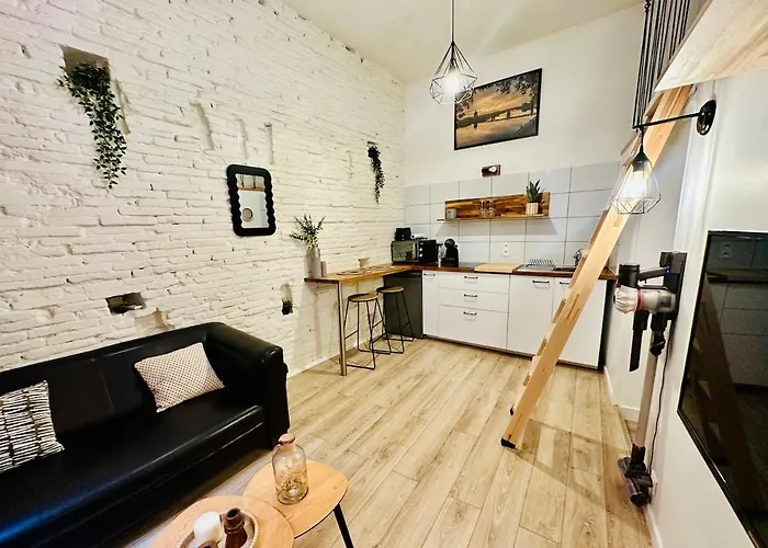 Appartement Le Cocon Toulousain En Hypercentre *