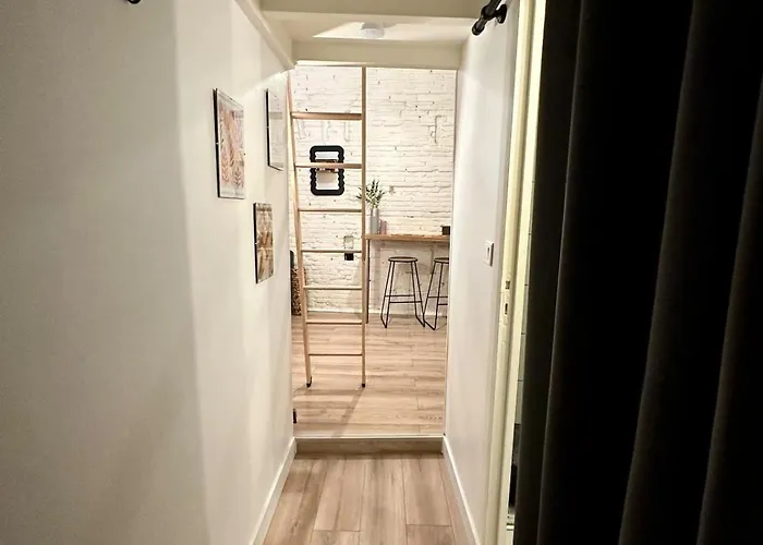 Le Cocon Toulousain En Hypercentre Appartement *